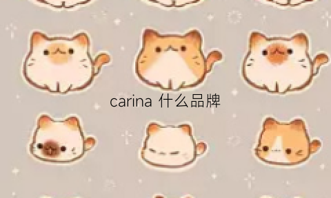 carina什么品牌(cariaknar品牌)